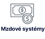 Mzdové systémy logo